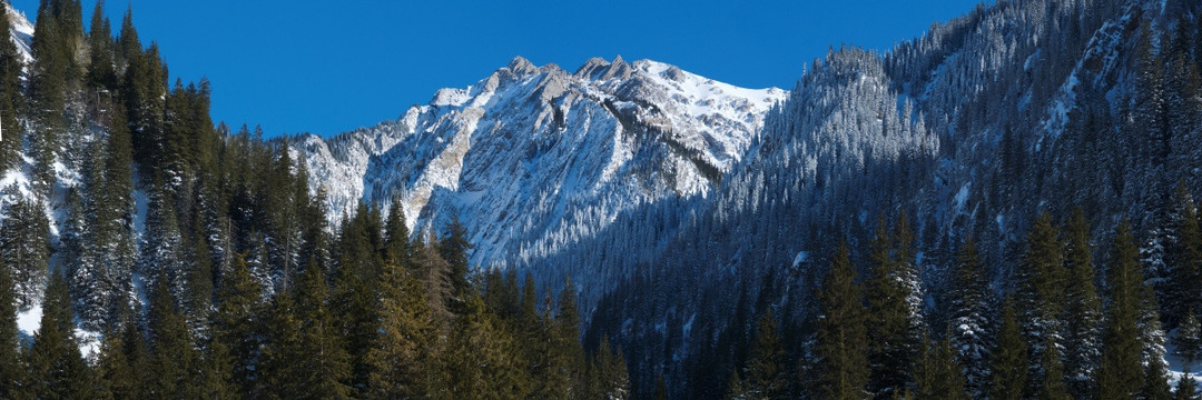 风雪天山 白雪皑皑的冬季天山