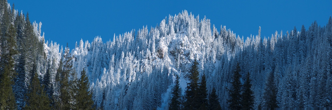 风雪天山 果子沟