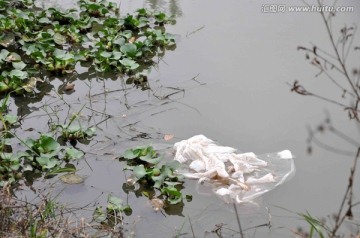 环境污染——水污染