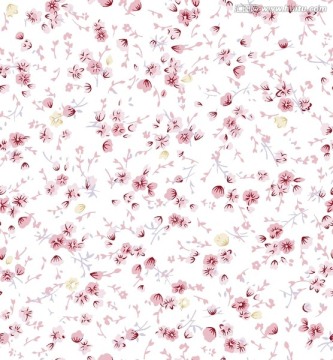 花紋 花型