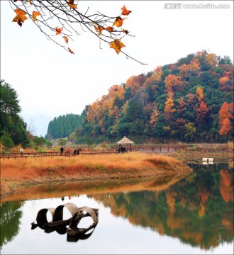 龙川湾 西南湖区