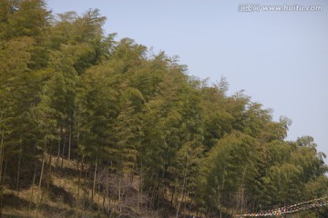 天目湖 南山竹海 江苏 风景区