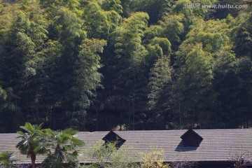 天目湖 南山竹海 江苏 风景区