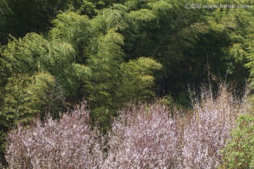 天目湖 南山竹海 江苏 风景区