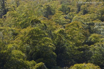 天目湖 南山竹海 江苏 风景区