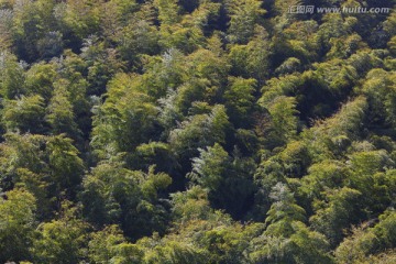 天目湖 南山竹海 江苏 风景区