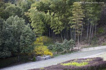 天目湖 南山竹海 江苏 风景区