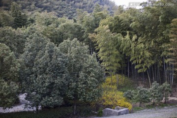 天目湖 南山竹海 江苏 风景区