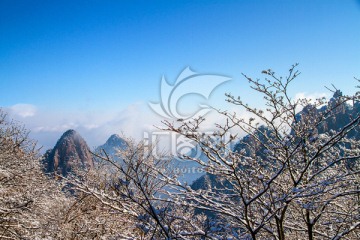 黄山风光