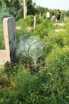 清明节上坟 祭祀 祭拜