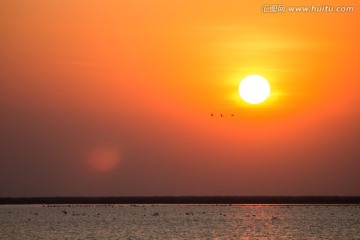 北大港湿地日落 游弋