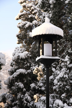 雪景