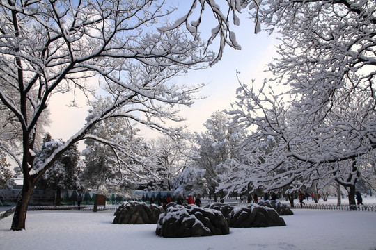 雪景