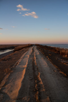 湿地的土路 竖片 竖构图