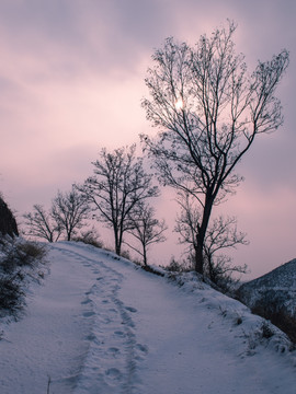 雪景 雪