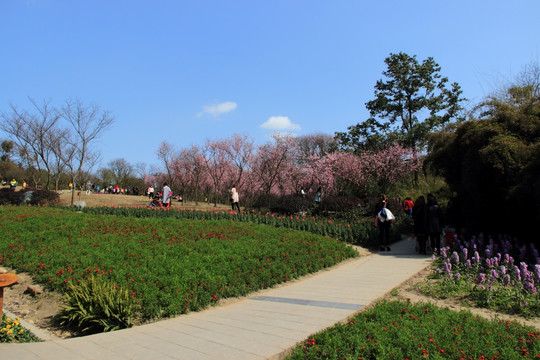 成都植物园