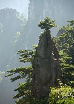 黄山梦笔生花