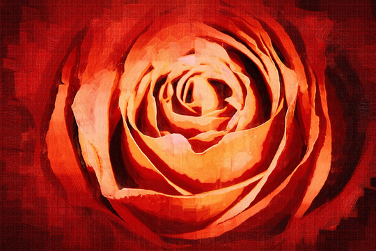 无框画 玫瑰 抽象画