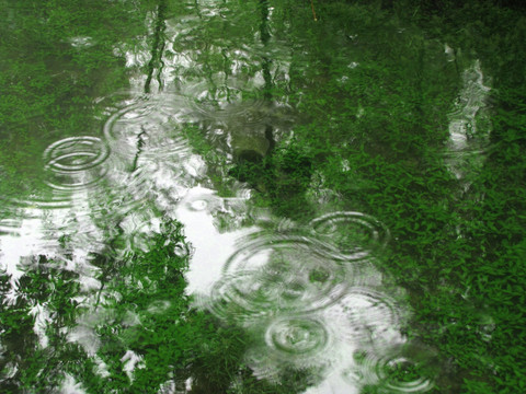 雨落池塘