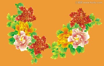 牡丹花紋