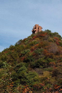 山路