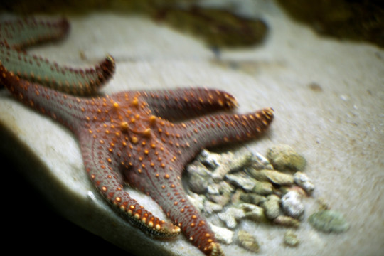 江苏 连云港 水族馆 海底世界