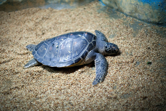 江苏 连云港 水族馆 海底世界