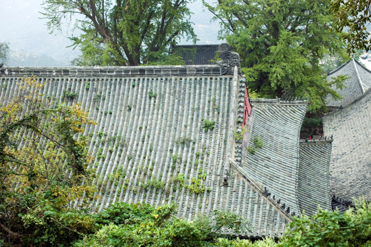 寺庙建筑 花果山 古迹 海宁寺