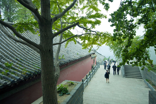 寺庙建筑 花果山 古迹 海宁寺