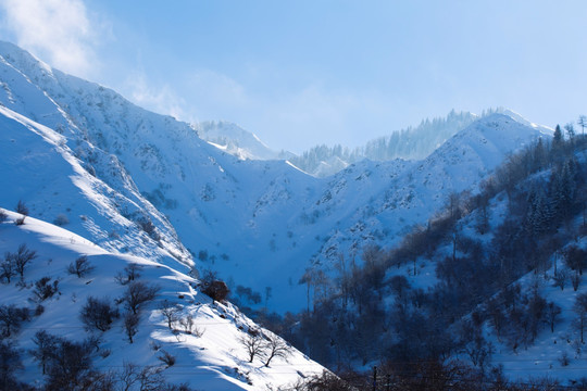 雪山 高山