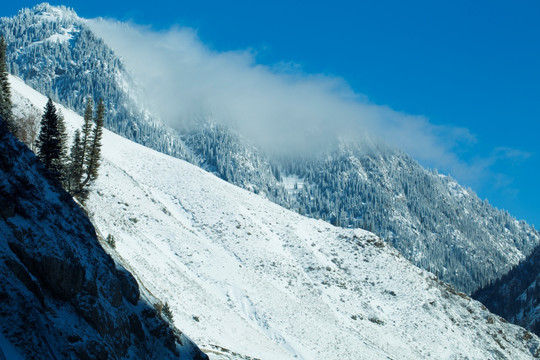 雪山 高原