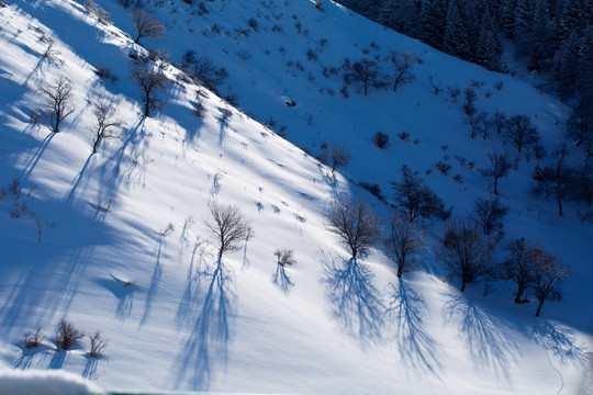 雪山  高原