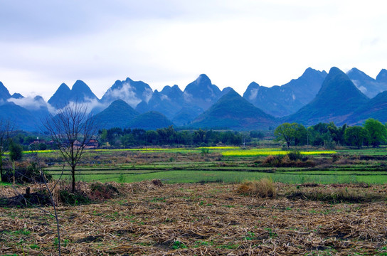 田园风景