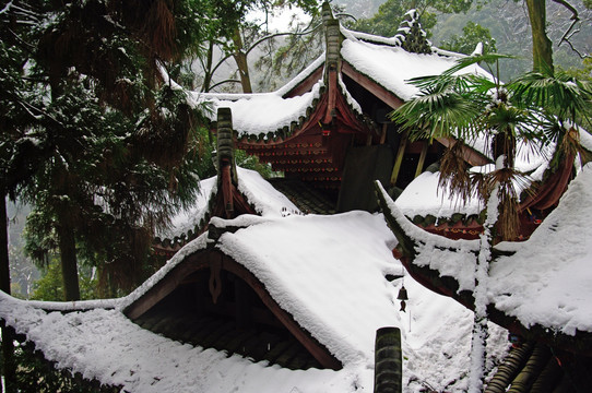 青城山雪景