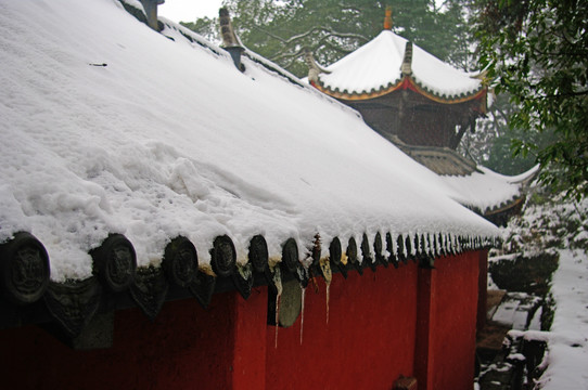 青城山雪景