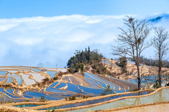 云南元阳哈尼梯田