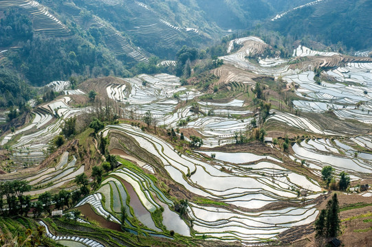 云南元阳哈尼梯田