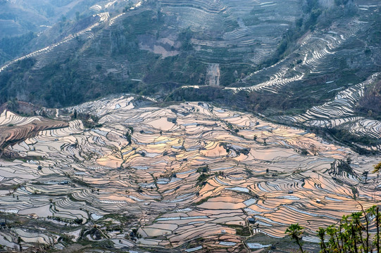 云南元阳哈尼梯田