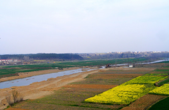 田野