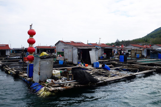 海南陵水 疍家鱼排