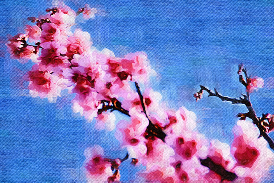 花卉裝飾畫