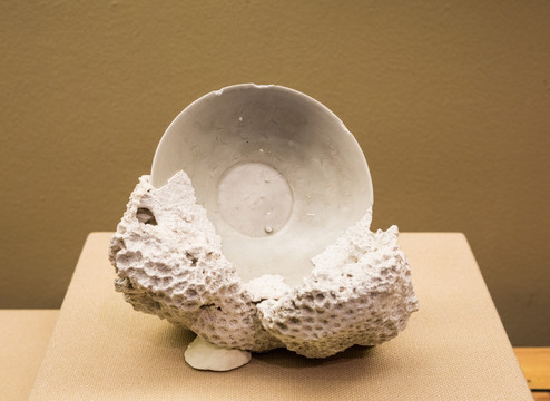 青白釉碗与珊瑚胶结块