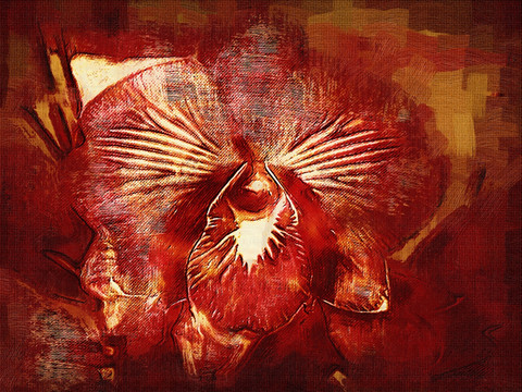 蘭花油畫 花卉裝飾畫