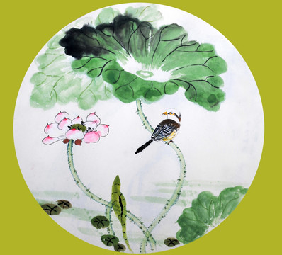 花鳥荷花