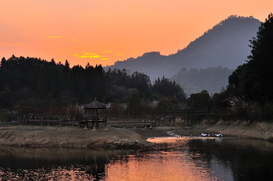 千岛湖 湖泊 树 秋 傍晚