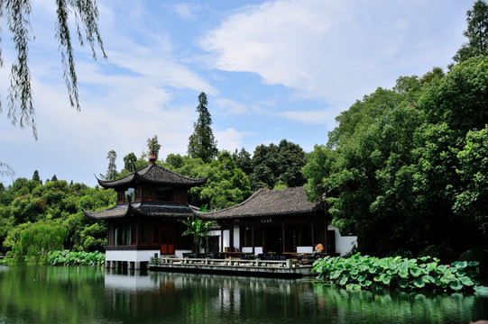 西湖 曲院风荷 湖泊 亭 楼台