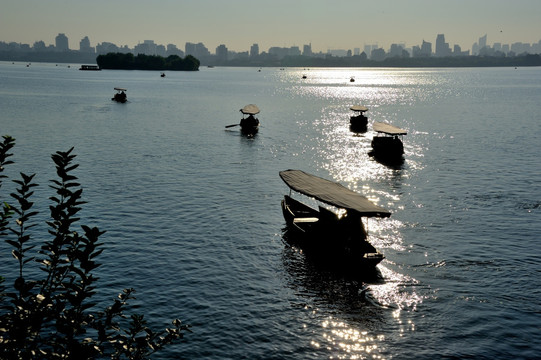 西湖 湖泊 船工 夏 清晨