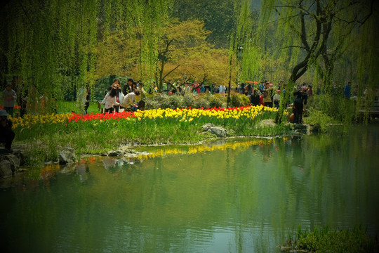 太子湾公园