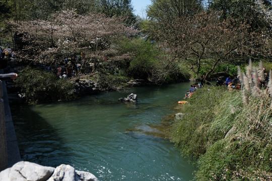 踏青风景