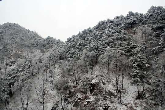 泰山雪景